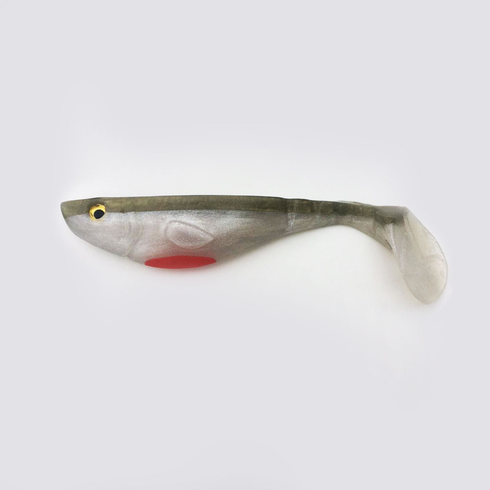 CL Shad 14